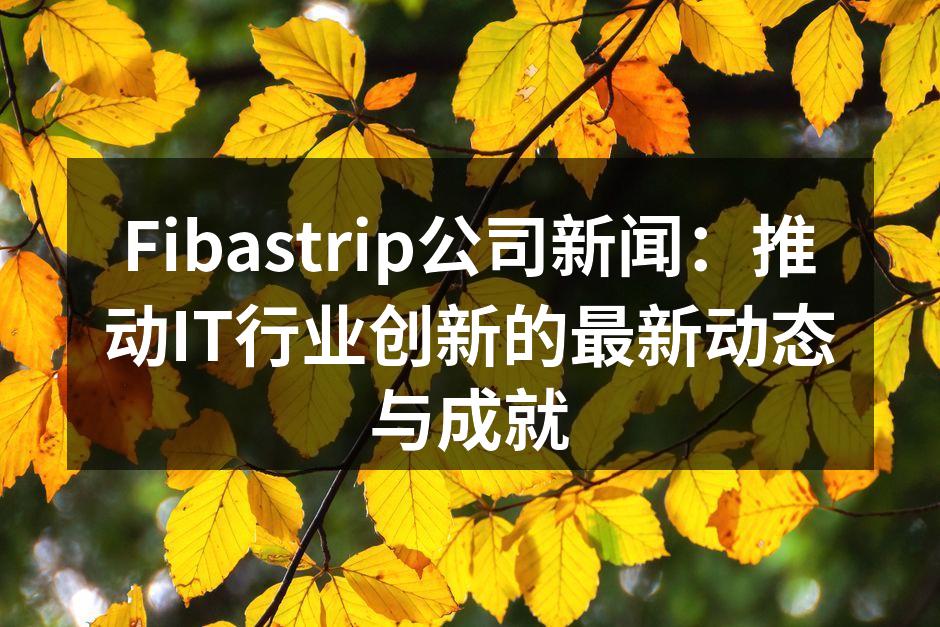 Fibastrip公司新闻：推动IT行业